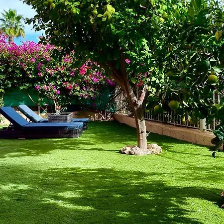 Casa Isabel, With A Shared Pool Apartment Murcia Exterior photo